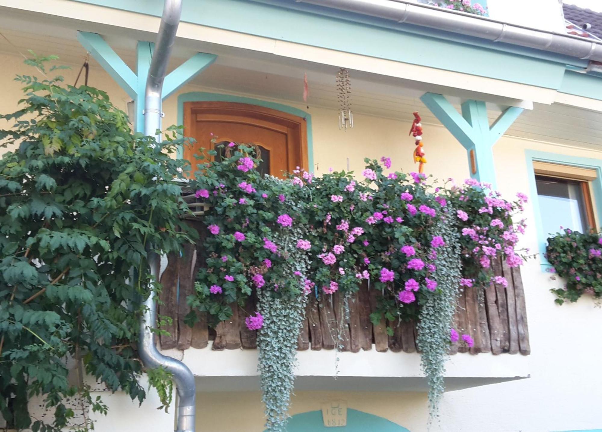 Apartament Rosenhof Broggingen Herbolzheim Zewnętrze zdjęcie