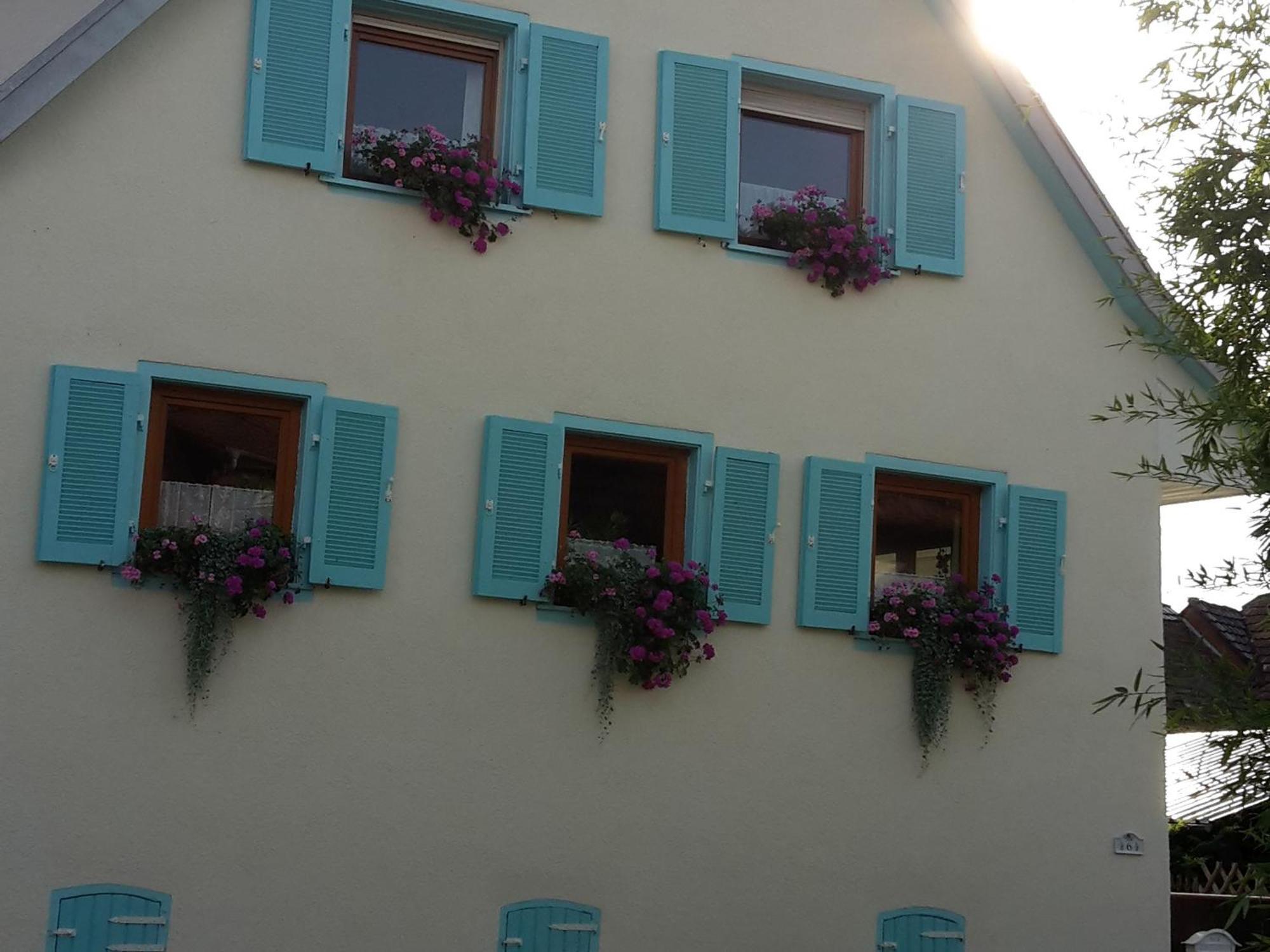 Apartament Rosenhof Broggingen Herbolzheim Zewnętrze zdjęcie