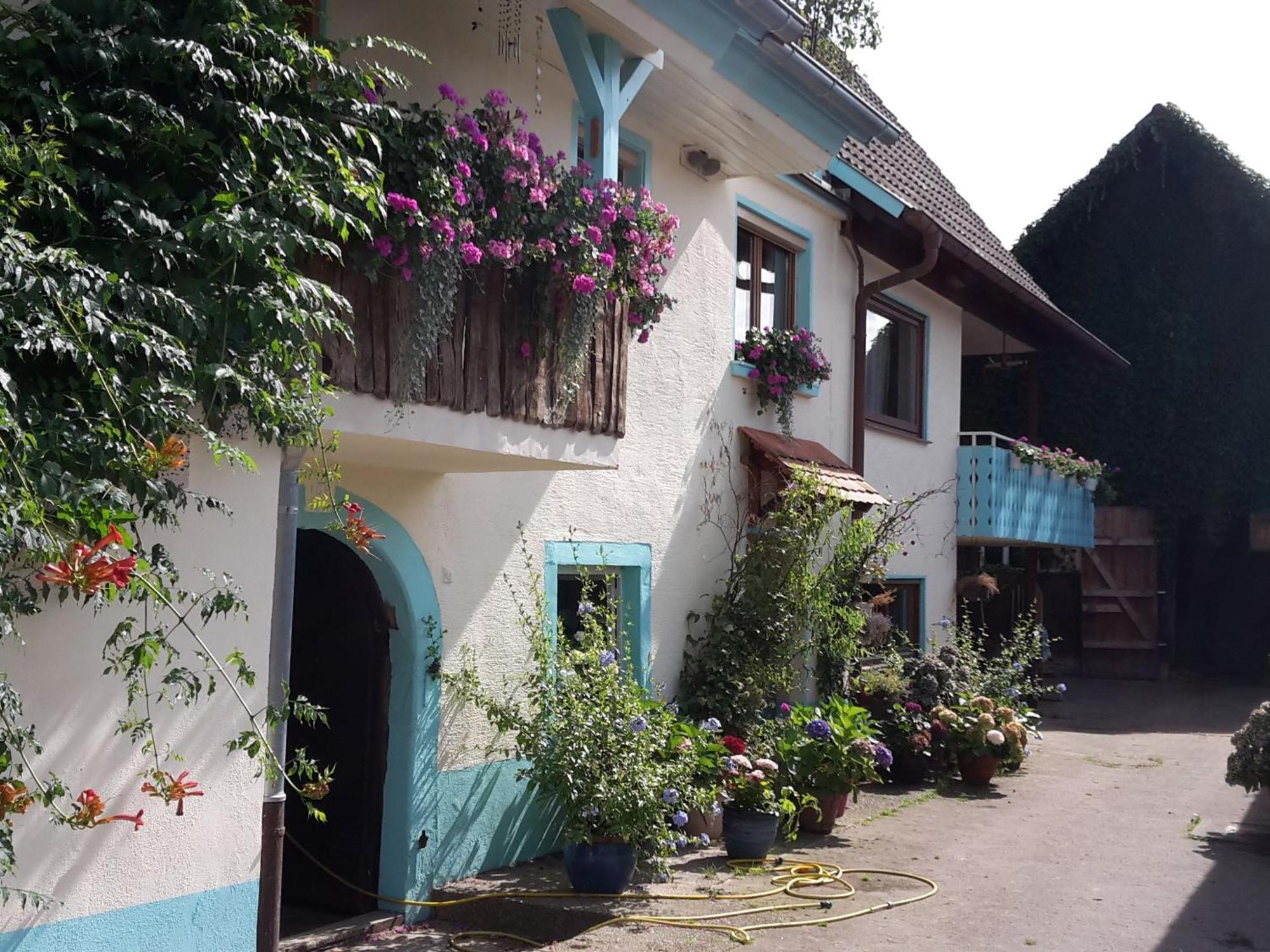 Apartament Rosenhof Broggingen Herbolzheim Zewnętrze zdjęcie