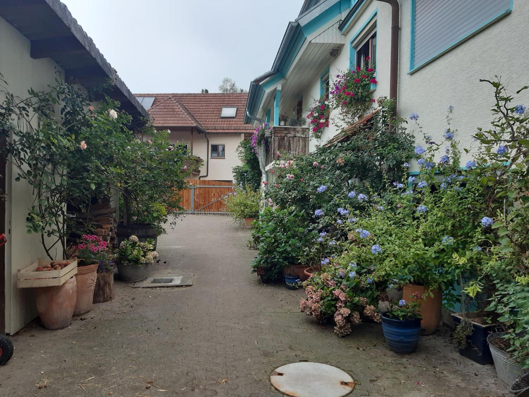 Apartament Rosenhof Broggingen Herbolzheim Zewnętrze zdjęcie